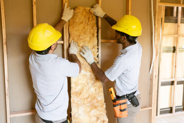 Best Wall Insulation Installation in North Sioux City, SD