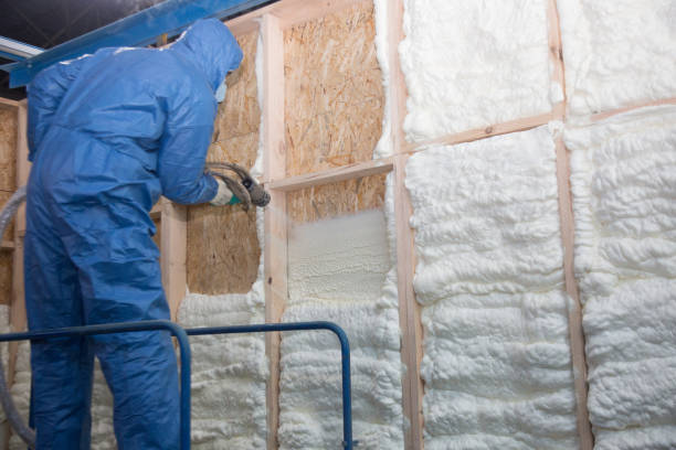 Best Radiant Barrier Insulation in North Sioux City, SD